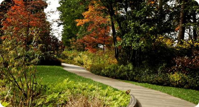 Path through a well-kept landscape